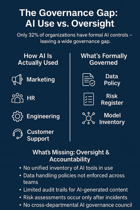 The Governance Gapv2_