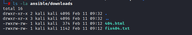 ansible downloads screenshot from kali code by White Oak Security