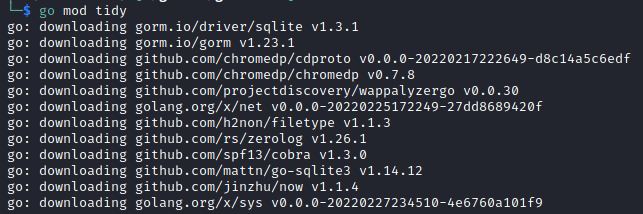 A simple scan by White Oak Security pentesters done successfully, it shows the gowitness tool downloading & executing. 