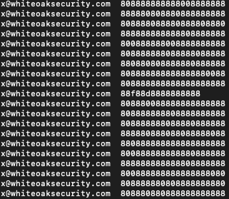 screenshot shows code that has the White Oak Security website and Google user data