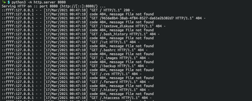 This is what someone might notice if directory enumeration is being carried out on their web server, a bunch of code with date/time stamp and GET code 404 files not found items.