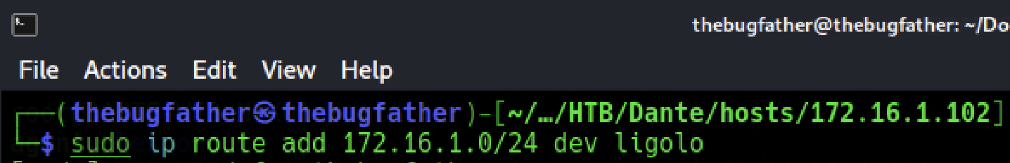 seems there is another internal network hosted in the 172.16.1.0/24 network range. With the established agent, access to the internal network will be as simple as adding the network to the system routing table and initializing the tunnel.