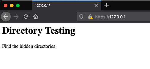 A directory testing screenshot from White Oak Security from the index.hmtl file that says find the hidden directories.