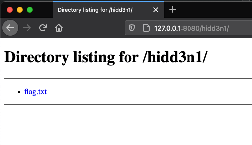 Directory listing screenshot for /hidd3n1/ shows a flag.txt file here.