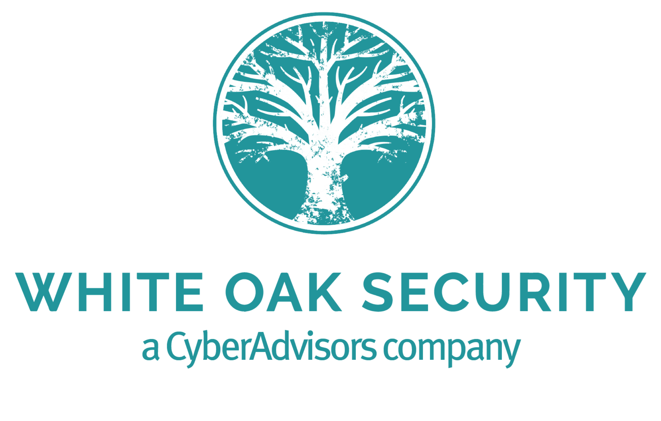 Cyber Security Mentor