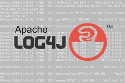 Cyber Advisors Apache Log4j Recommendations and Services Package